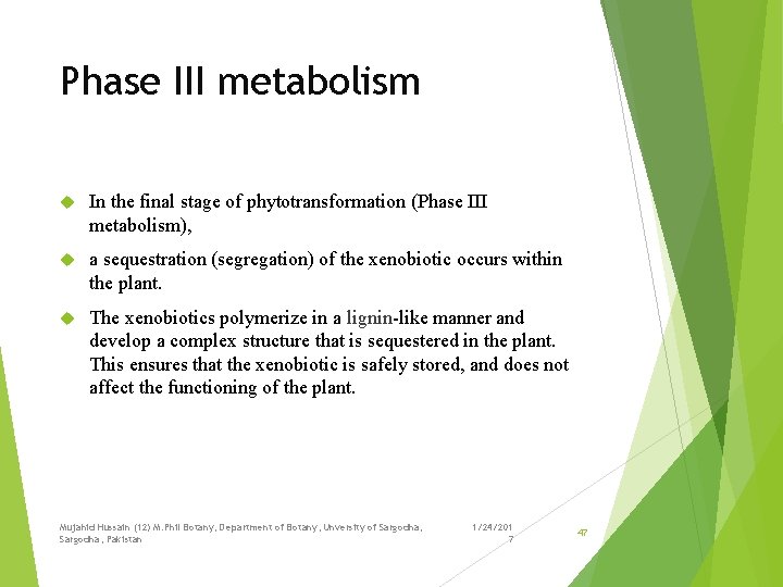 Phase III metabolism In the final stage of phytotransformation (Phase III metabolism), a sequestration