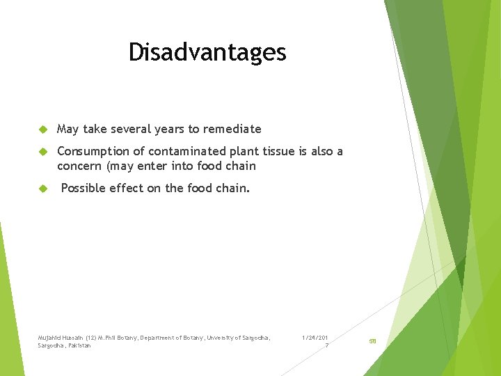 Disadvantages May take several years to remediate Consumption of contaminated plant tissue is also