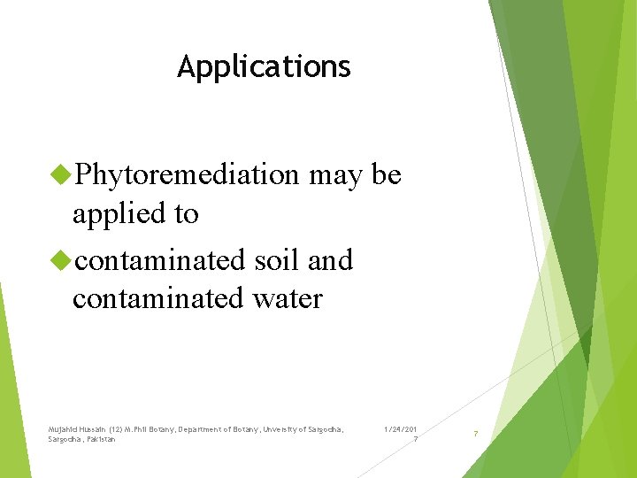 Applications Phytoremediation may be applied to contaminated soil and contaminated water Mujahid Hussain (12)