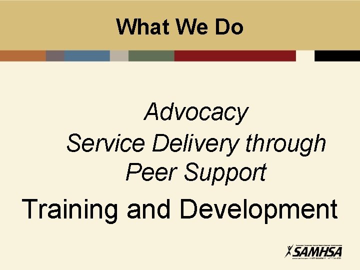 What We Do Advocacy Service Delivery through Peer Support Training and Development 