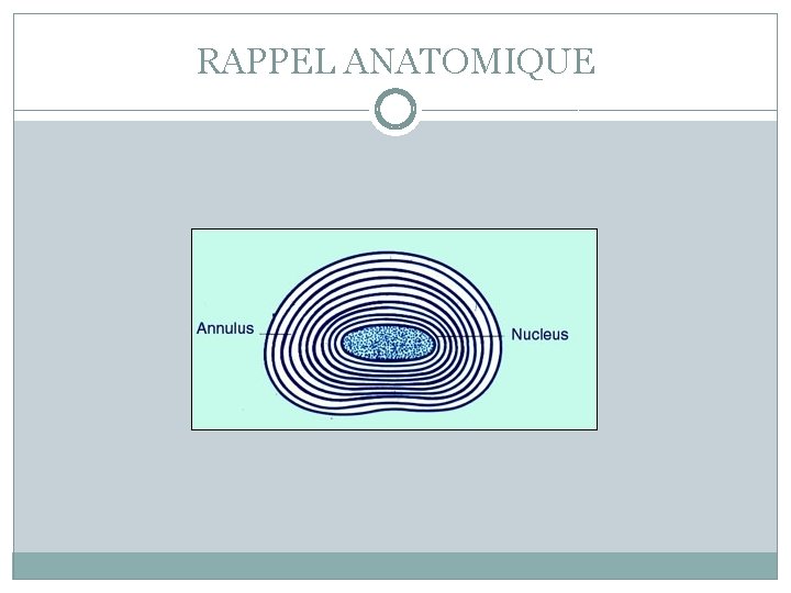 RAPPEL ANATOMIQUE 