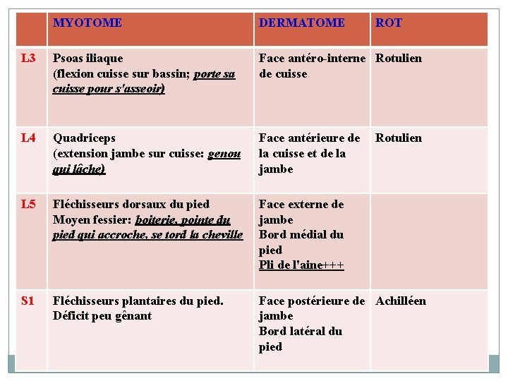 MYOTOME DERMATOME ROT L 3 Psoas iliaque (flexion cuisse sur bassin; porte sa cuisse