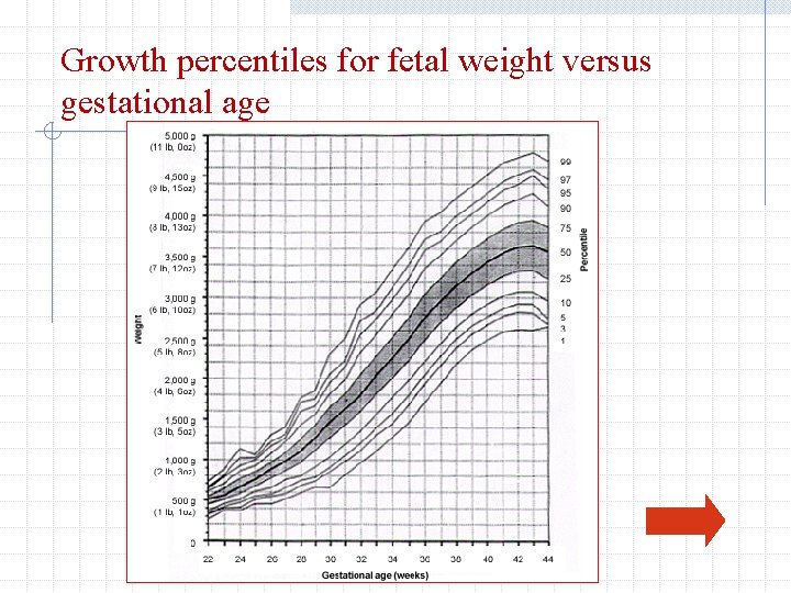 Growth percentiles for fetal weight versus gestational age 
