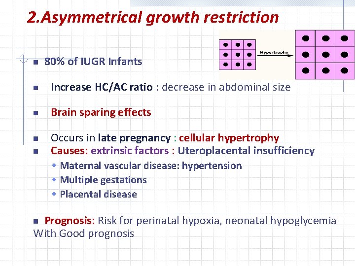 2. Asymmetrical growth restriction n 80% of IUGR Infants n Increase HC/AC ratio :