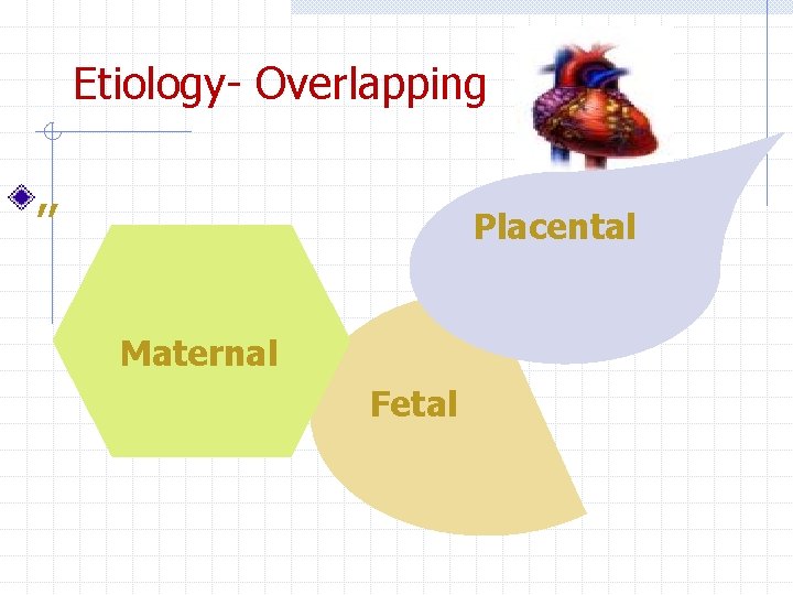 Etiology- Overlapping , , Placental Maternal Fetal 