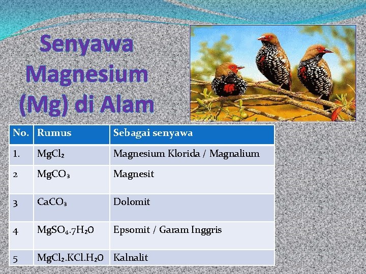Senyawa Magnesium (Mg) di Alam No. Rumus Sebagai senyawa 1. Mg. Cl₂ Magnesium Klorida