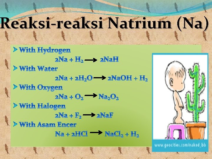 Reaksi-reaksi Natrium (Na) Ø Ø Ø 