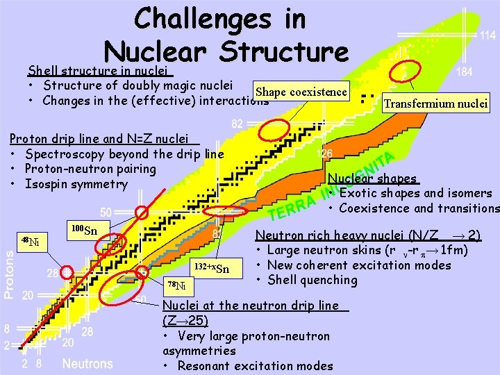 Challenges in Nuclear Structure Shell structure in nuclei • Structure of doubly magic nuclei