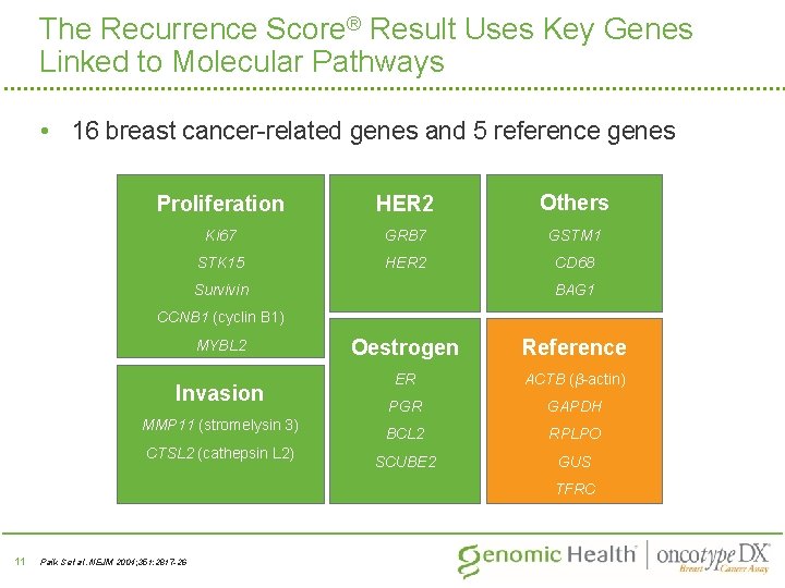 The Recurrence Score® Result Uses Key Genes Linked to Molecular Pathways • 16 breast