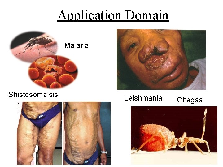 Application Domain Malaria Shistosomaisis Leishmania Chagas 