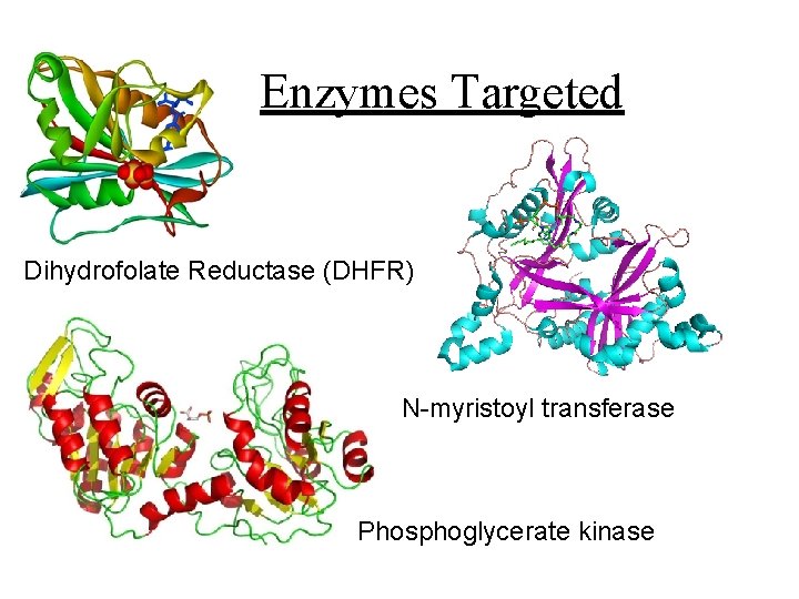 Enzymes Targeted Dihydrofolate Reductase (DHFR) N-myristoyl transferase Phosphoglycerate kinase 