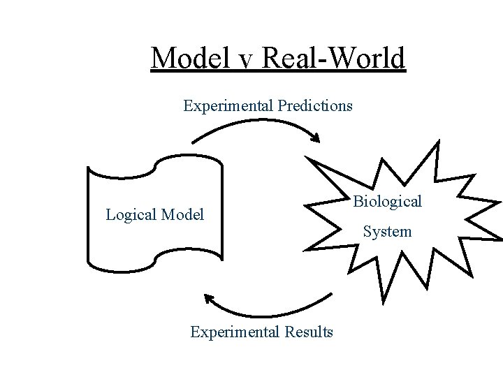 Model v Real-World Experimental Predictions Logical Model Experimental Results Biological System 