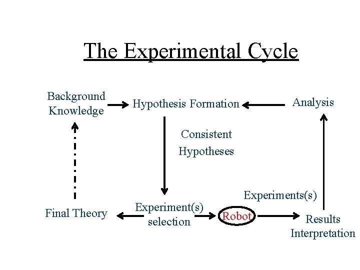The Experimental Cycle Background Knowledge Analysis Hypothesis Formation Consistent Hypotheses Final Theory Experiment(s) selection