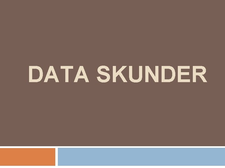 DATA SKUNDER DATA SKUNDER