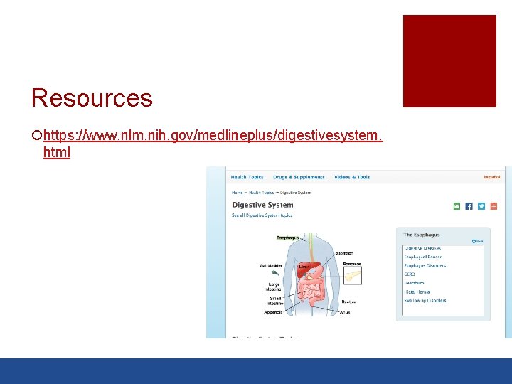 Resources ¡https: //www. nlm. nih. gov/medlineplus/digestivesystem. html 