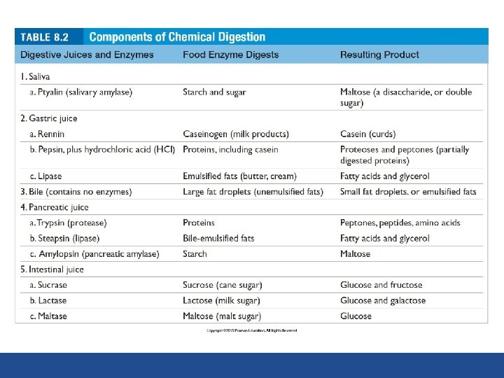 TABLE 8. 2 Components of Chemical Digestion 