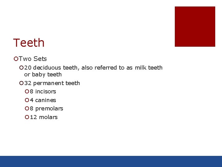 Teeth ¡Two Sets ¡ 20 deciduous teeth, also referred to as milk teeth or