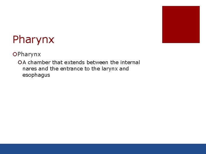 Pharynx ¡ A chamber that extends between the internal nares and the entrance to