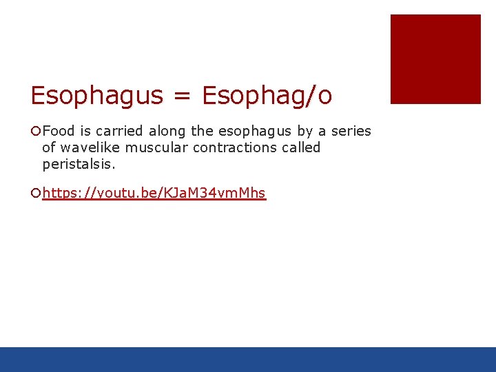 Esophagus = Esophag/o ¡Food is carried along the esophagus by a series of wavelike