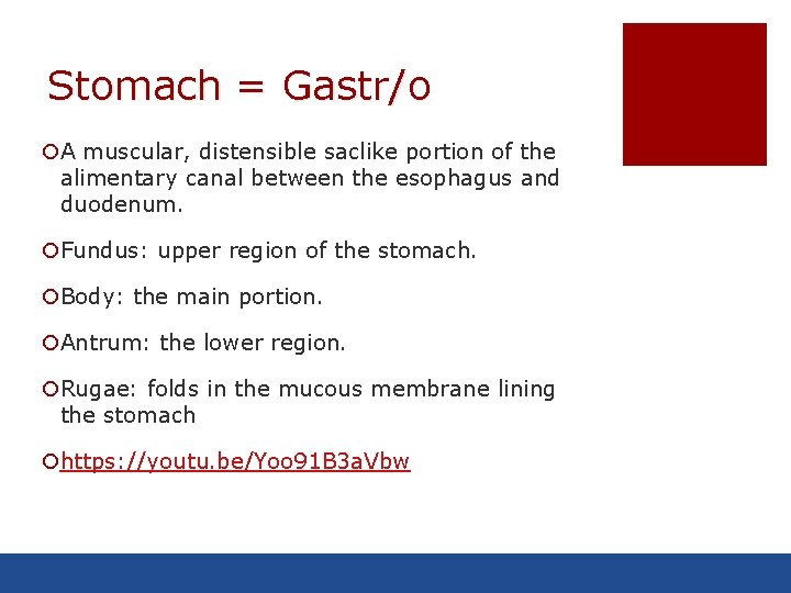 Stomach = Gastr/o ¡A muscular, distensible saclike portion of the alimentary canal between the