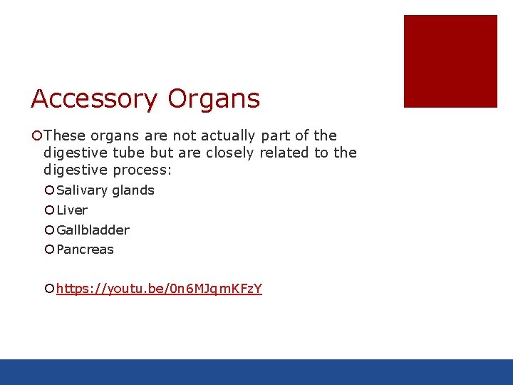 Accessory Organs ¡These organs are not actually part of the digestive tube but are