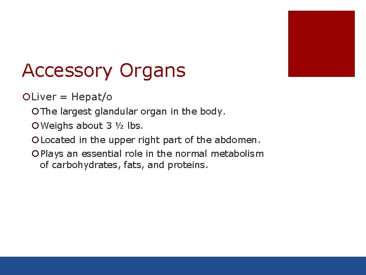 Accessory Organs ¡Liver = Hepat/o ¡ The largest glandular organ in the body. ¡