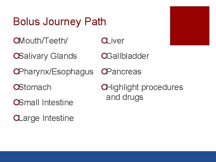 Bolus Journey Path ¡Mouth/Teeth/ ¡Liver ¡Salivary Glands ¡Gallbladder ¡Pharynx/Esophagus ¡Pancreas ¡Stomach ¡Small Intestine ¡Large