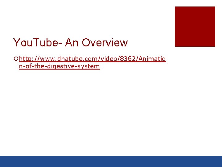 You. Tube- An Overview ¡http: //www. dnatube. com/video/8362/Animatio n-of-the-digestive-system 