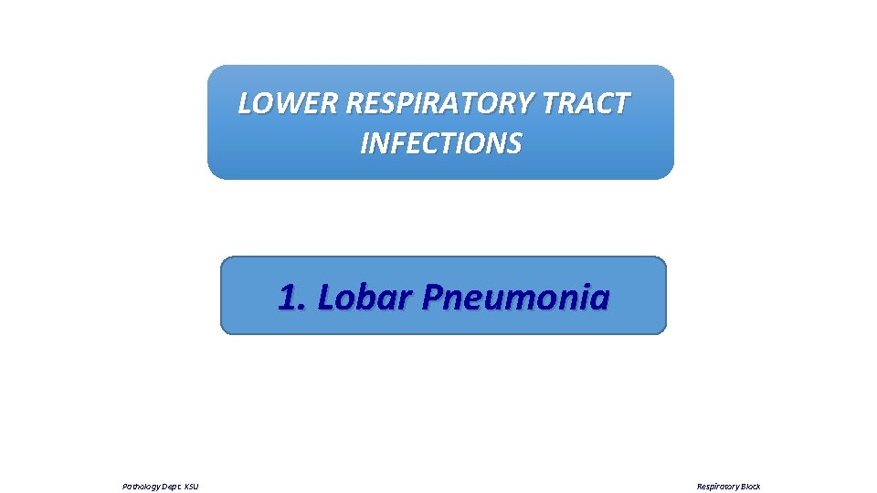 LOWER RESPIRATORY TRACT INFECTIONS 1. Lobar Pneumonia Pathology Dept. KSU Respiratory Block 