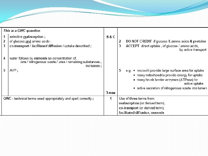 Markscheme Markscheme