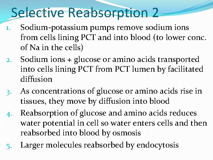 Selective Reabsorption 2 Sodium-potassium pumps remove sodium ions from cells lining PCT and into Selective Reabsorption 2 Sodium-potassium pumps remove sodium ions from cells lining PCT and into