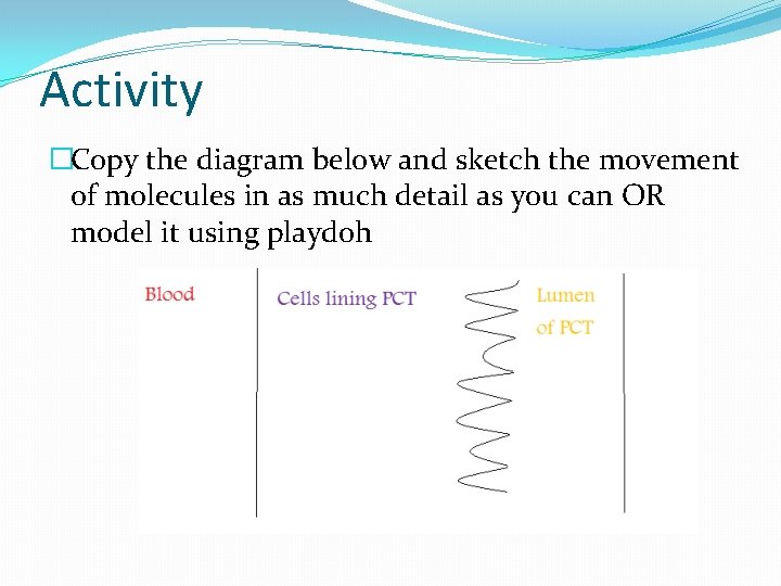 Activity �Copy the diagram below and sketch the movement of molecules in as much Activity �Copy the diagram below and sketch the movement of molecules in as much