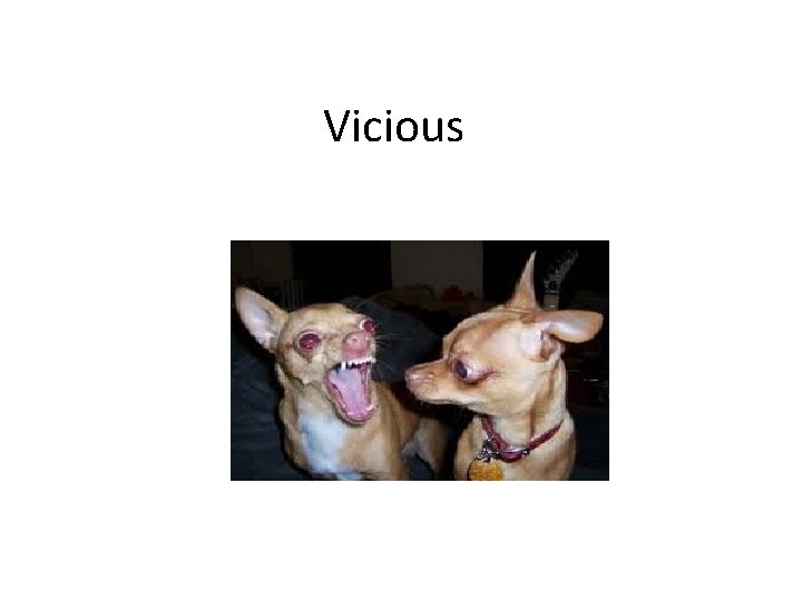 Vicious 