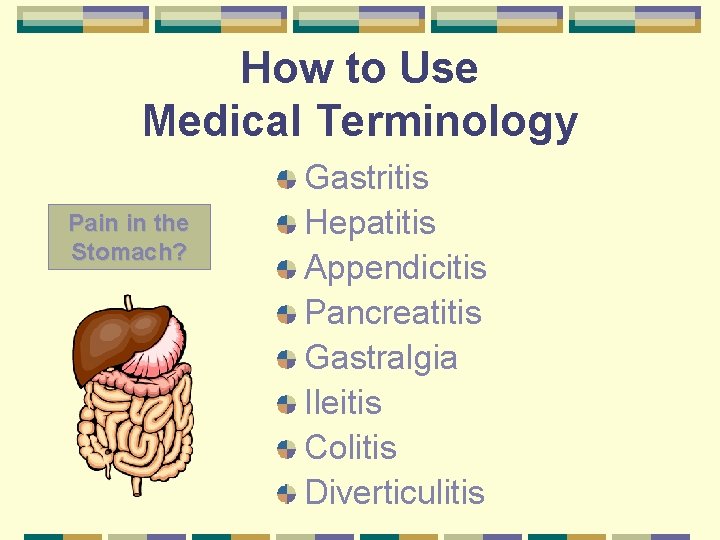 How to Use Medical Terminology Pain in the Stomach? Gastritis Hepatitis Appendicitis Pancreatitis Gastralgia