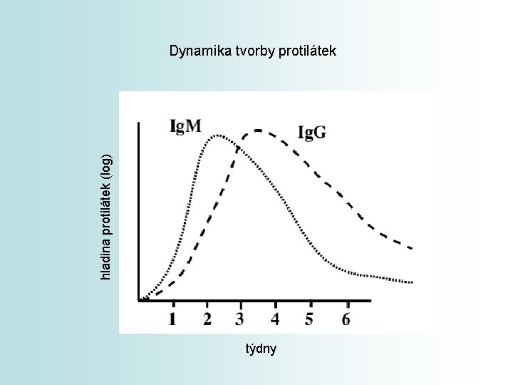 hladina protilátek (log) Dynamika tvorby protilátek týdny 