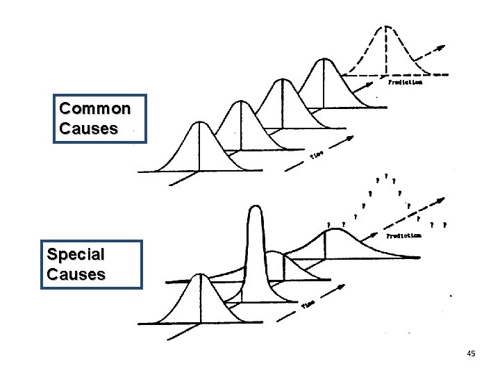 Common Causes Special Causes 45 Common Causes Special Causes 45