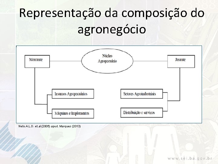 Representação da composição do agronegócio Neto. A. L. D. et. al (2005) apud. Marques