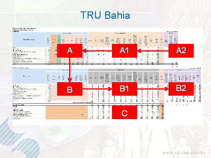 TRU Bahia A A 1 A 2 B B 1 B 2 C 