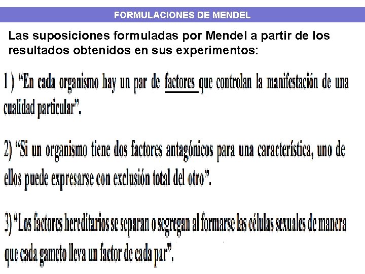 FORMULACIONES DE MENDEL Las suposiciones formuladas por Mendel a partir de los resultados obtenidos