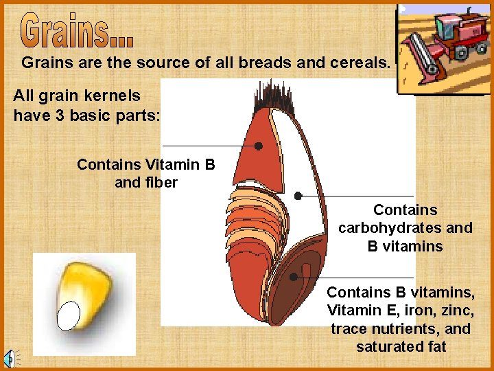 Grains are the source of all breads and cereals. All grain kernels have 3