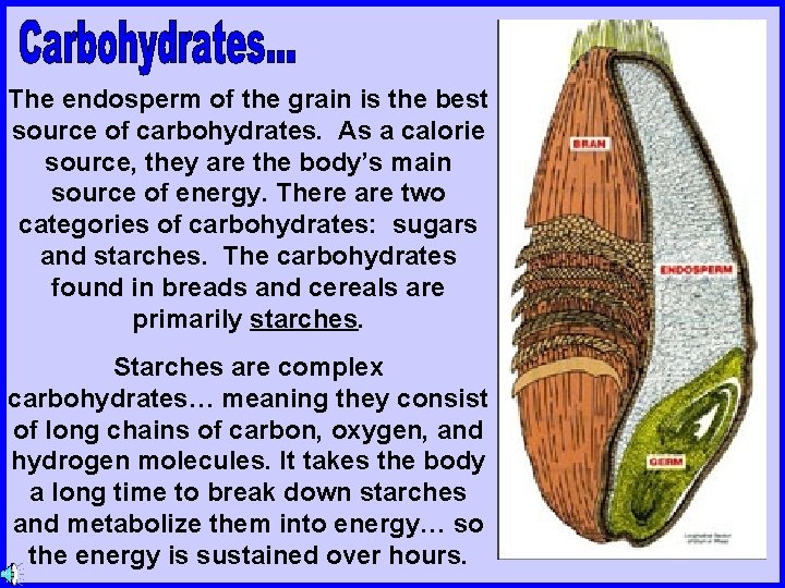 The endosperm of the grain is the best source of carbohydrates. As a calorie