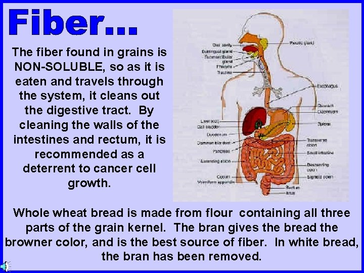 The fiber found in grains is NON-SOLUBLE, so as it is eaten and travels