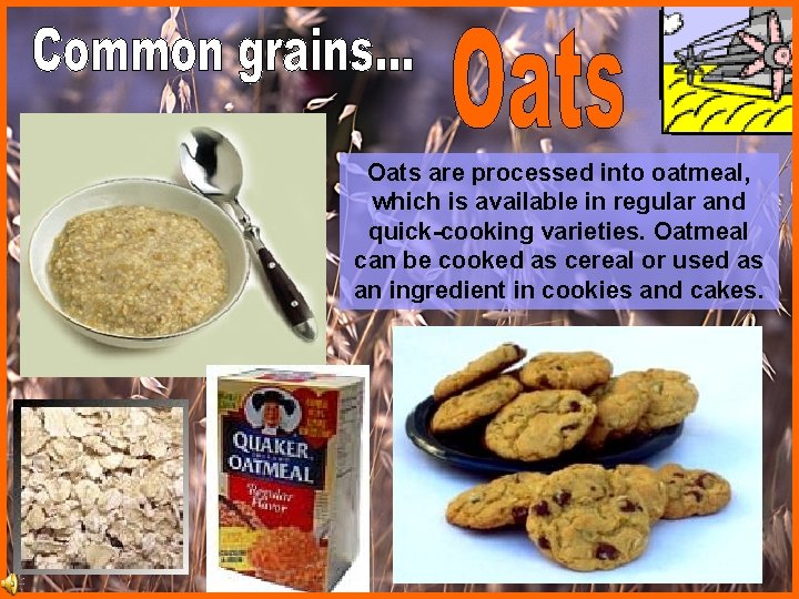 Oats are processed into oatmeal, which is available in regular and quick-cooking varieties. Oatmeal