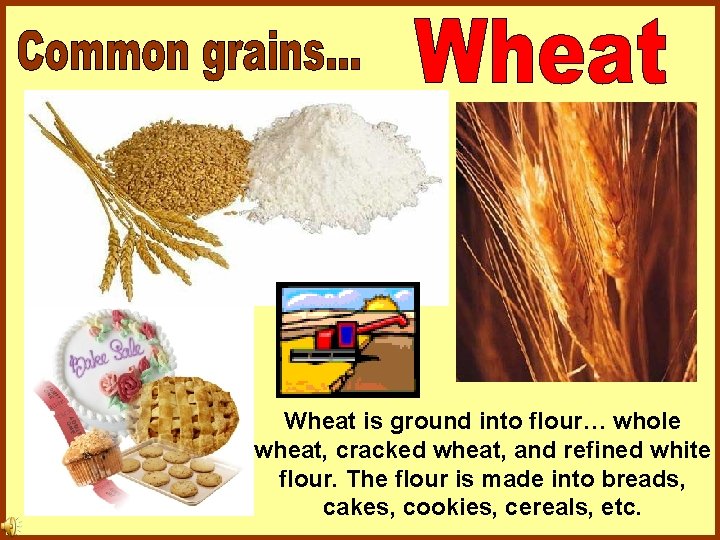 Wheat is ground into flour… whole wheat, cracked wheat, and refined white flour. The