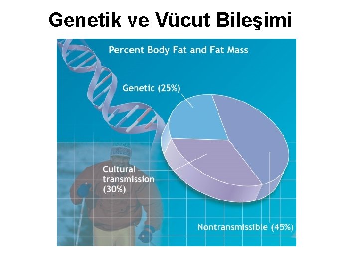 Genetik ve Vücut Bileşimi 