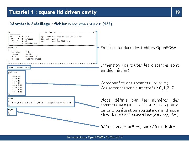 Tutoriel 1 : square lid driven cavity 19 Géométrie / Maillage : fichier block.