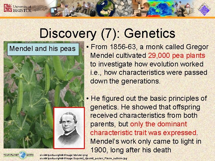 Discovery (7): Genetics Mendel and his peas • From 1856 -63, a monk called