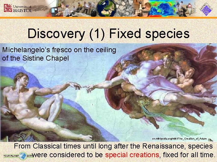 Discovery (1) Fixed species Michelangelo’s fresco on the ceiling of the Sistine Chapel en.