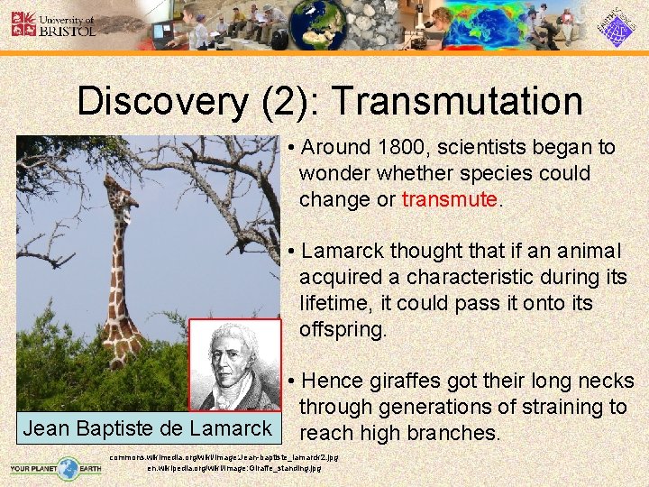 Discovery (2): Transmutation • Around 1800, scientists began to wonder whether species could change