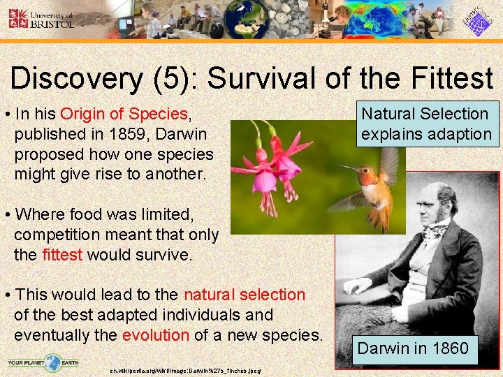 Discovery (5): Survival of the Fittest • In his Origin of Species, published in